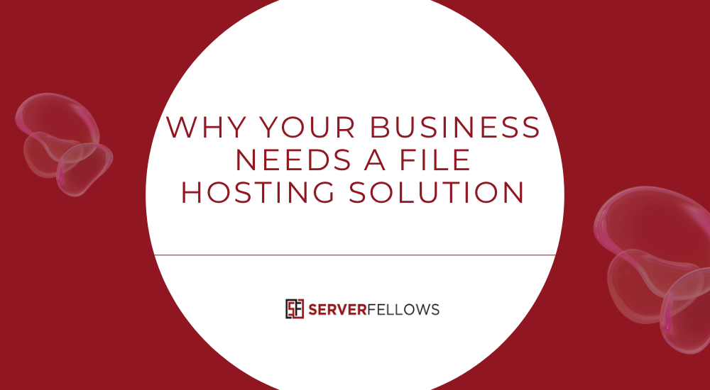 Why Businesses Need a File Hosting Solution